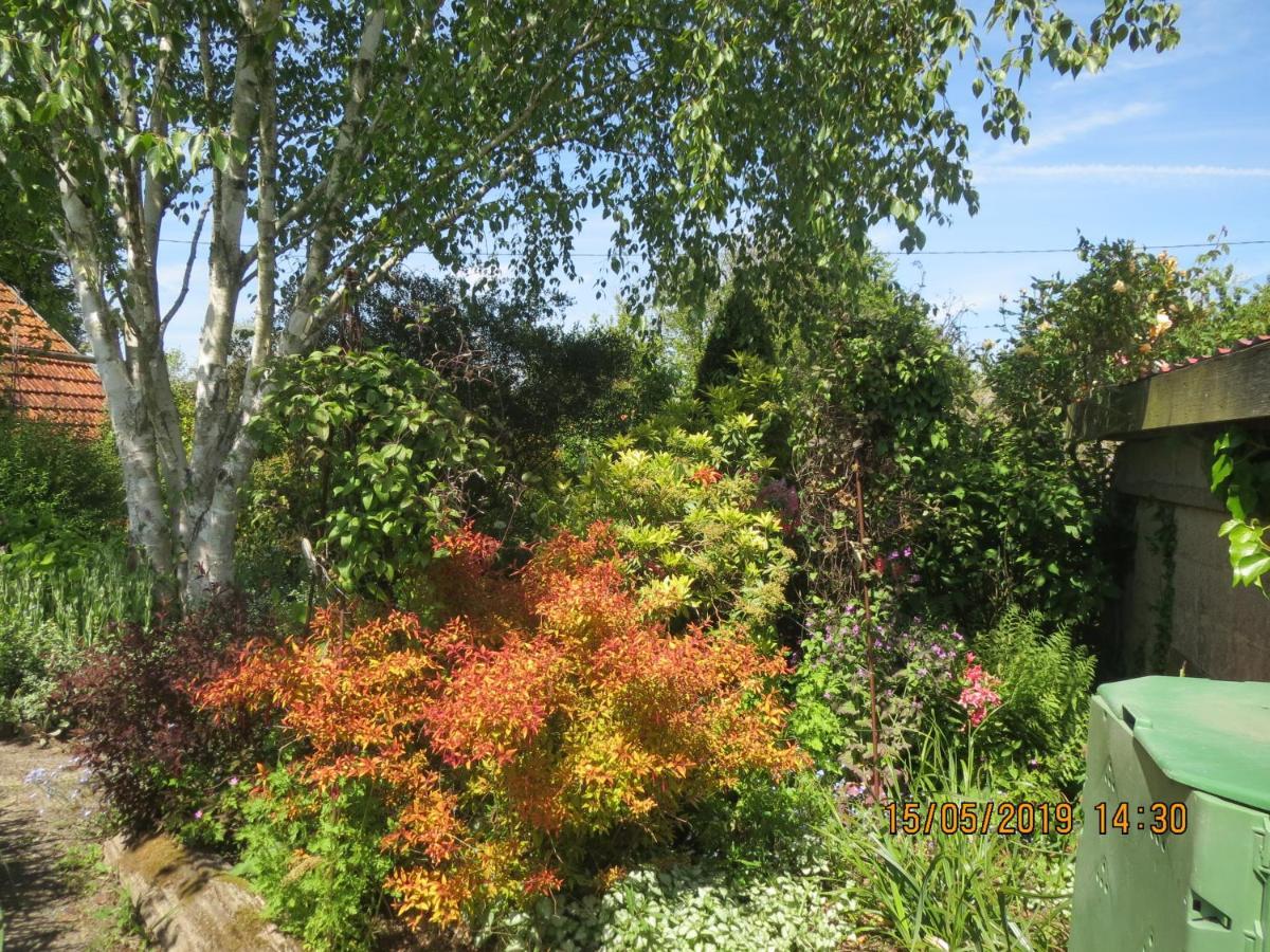 La Haute Gilberdiere Sartilly-Baie-Bocage Exteriör bild